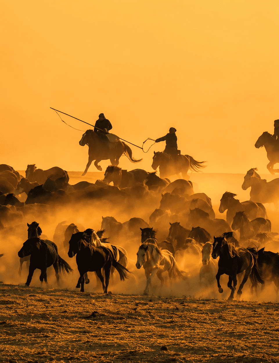 Horsemen silhouetted against gold sky