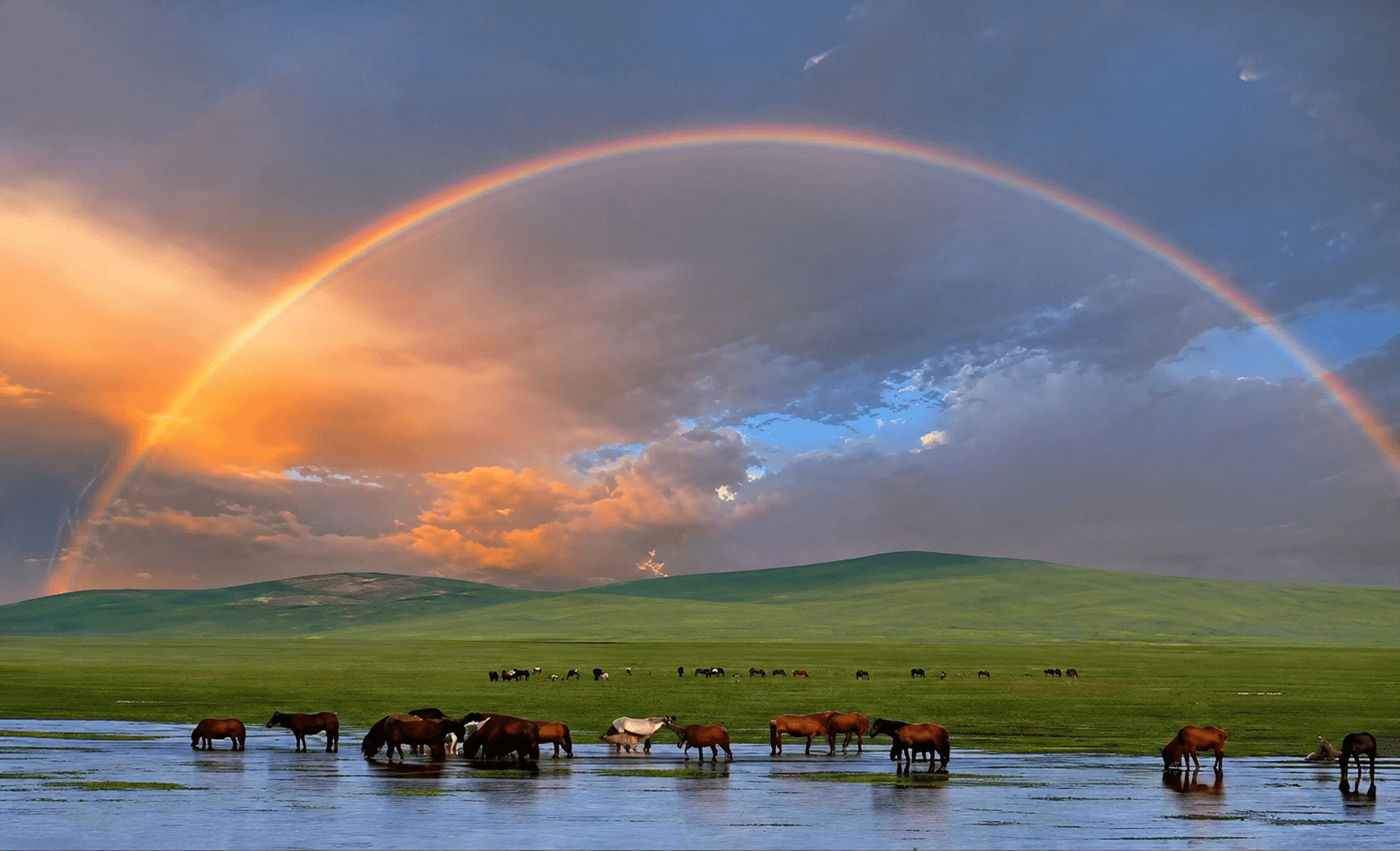 Rainbow over grassland river